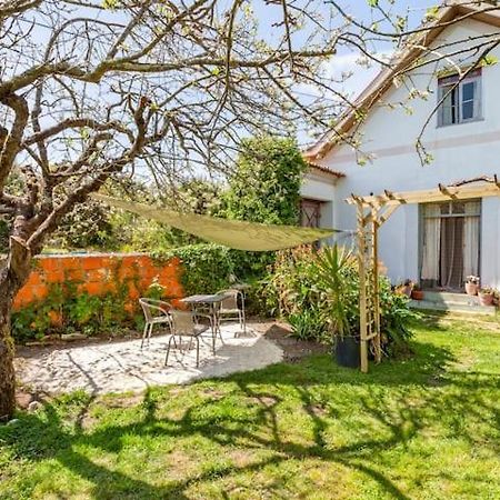 Monte Frio Alpacas Villa Nariz Ngoại thất bức ảnh