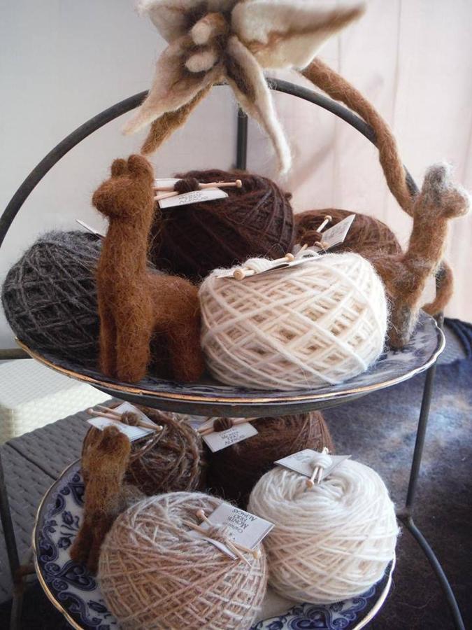 Monte Frio Alpacas Villa Nariz Ngoại thất bức ảnh