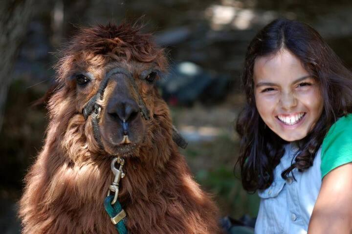 Monte Frio Alpacas Villa Nariz Ngoại thất bức ảnh