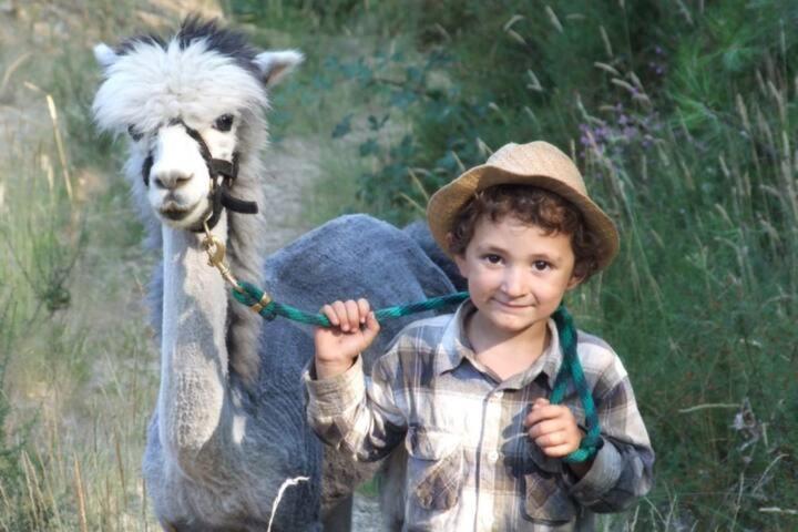 Monte Frio Alpacas Villa Nariz Ngoại thất bức ảnh