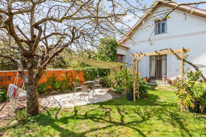 Monte Frio Alpacas Villa Nariz Ngoại thất bức ảnh